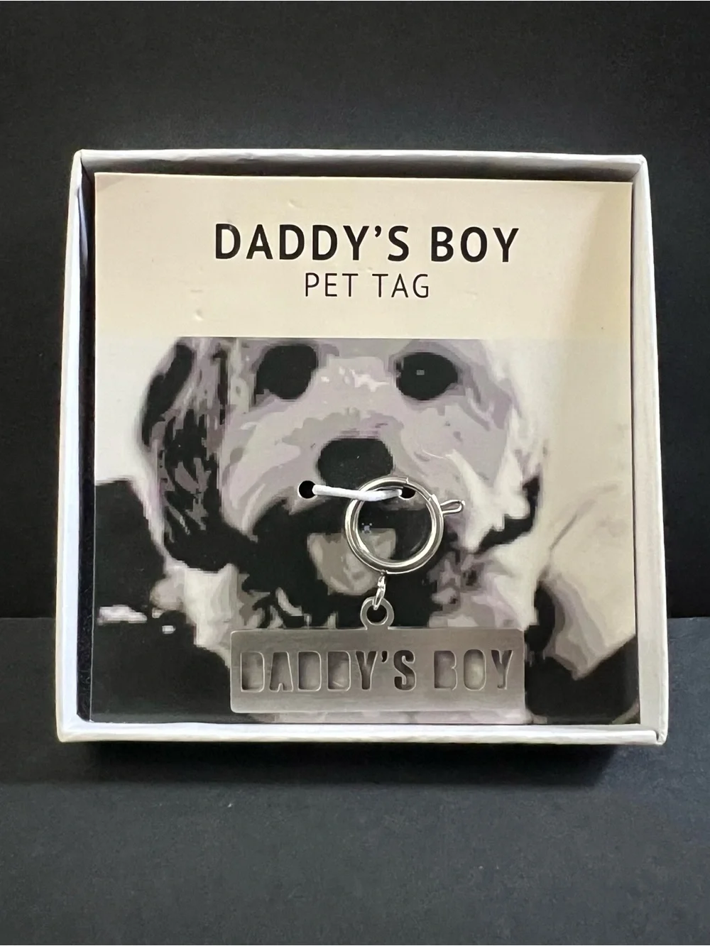 Jaeci Daddy's Boy Stainless Steel Dog Charm Pet Tag -NEW IN BOX